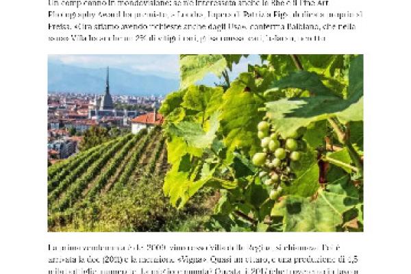 Il-Freisa-della-Regina-compie-500 anni-e-festeggia-con-una-vendemmia.pdf