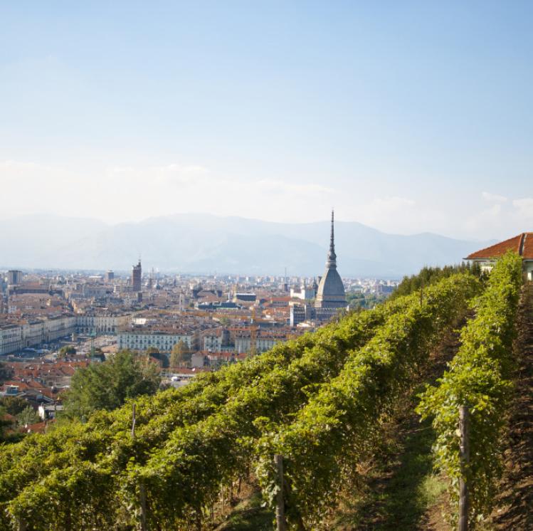 Vigna della Regina in primavera