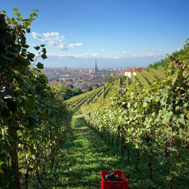 Vigna della Regina vista su Torino