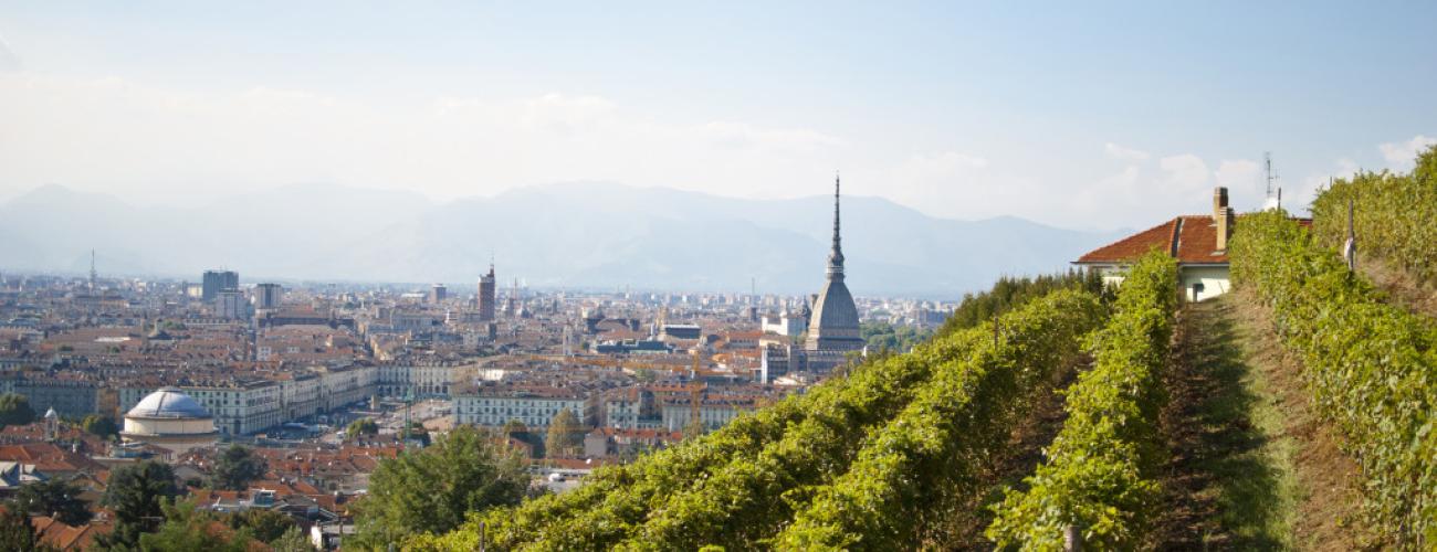 Vigna della Regina in primavera