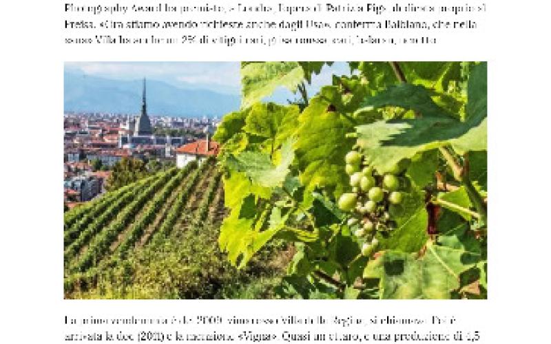 Il-Freisa-della-Regina-compie-500 anni-e-festeggia-con-una-vendemmia.pdf